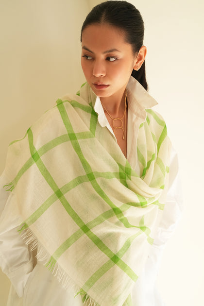 Handwoven Cashmere Checks Stole | Kashmir Loom