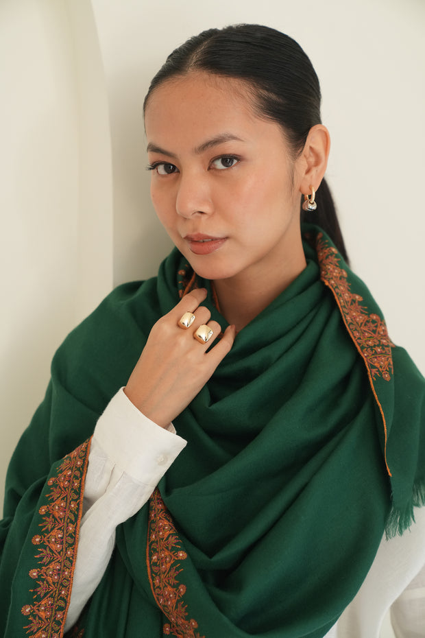 Hand Embroidered Pashmina Sozni Borderdar Shawl Green | Kashmir Loom