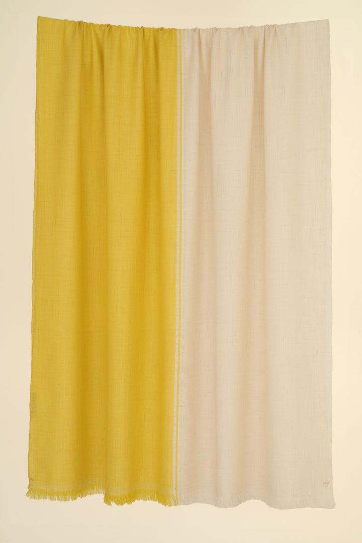 Kashmir Loom Fifty Fifty Metallic Cashmere Shawl