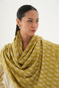 Kashmir Loom Kani Paisley Buti Jamawar Hand Woven Pashmina Stole Gold Oak Ivory