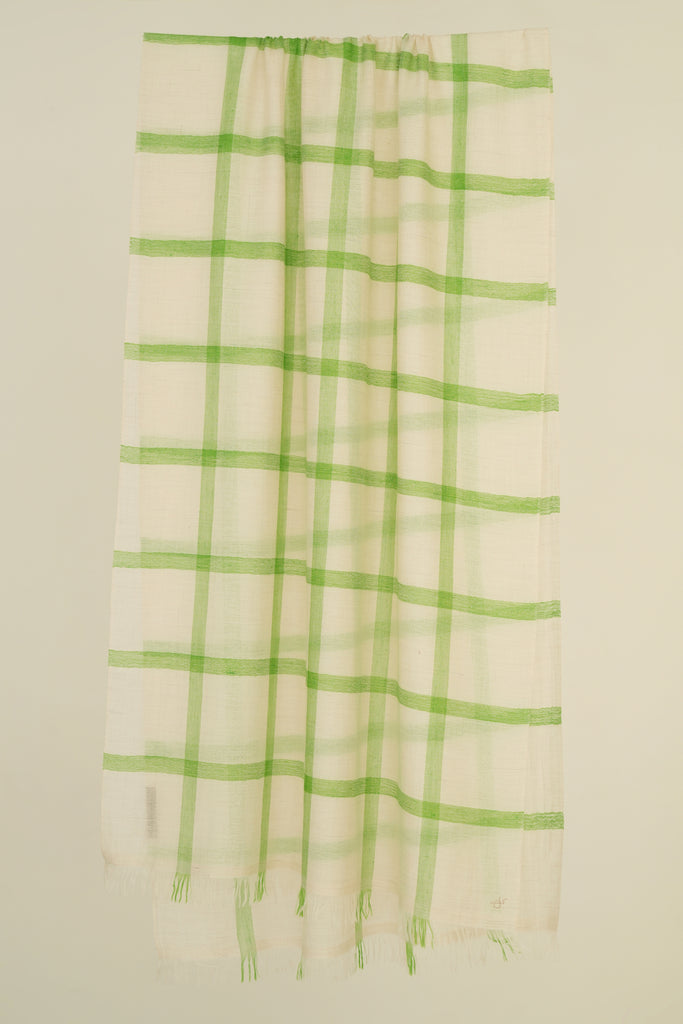 Handwoven Cashmere Checks Stole | Kashmir Loom