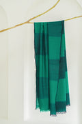 Kashmir Loom Tableau Cashmere Shawl
